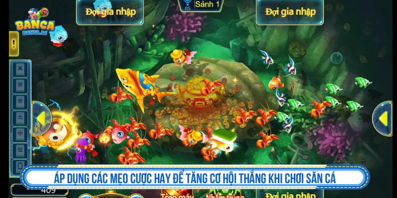 Tam Tiên Bắn Cá Nhận Quà Hot Từ Ba Vị Thần Đại Dương Áp dụng các mẹo cược hay để tăng cơ hội thắng khi chơi săn cá