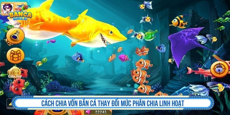 Cách Chia Vốn Bắn Cá Khoa Học Và Bí Kíp Thắng Cược Cách chia vốn bắn cá thay đổi mức phân chia linh hoạt