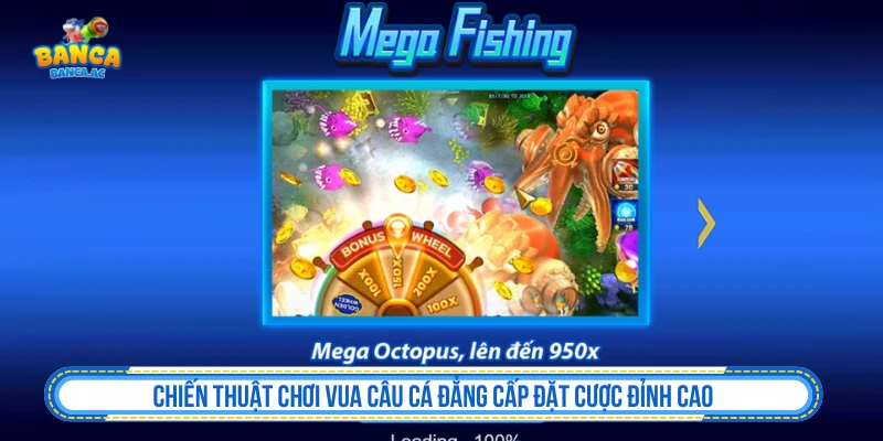 Chiến Thuật Chơi Vua Câu Cá Đẳng Cấp Đặt Cược Đỉnh Cao Chiến Thuật Chơi Vua Câu Cá Đẳng Cấp Đặt Cược Đỉnh Cao