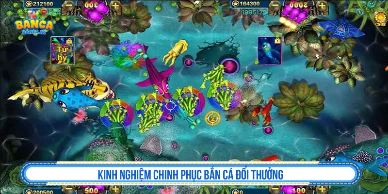 Trang Chủ Kinh nghiệm chinh phục bắn cá đổi thưởng