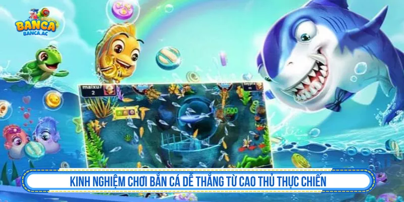Kinh Nghiệm Chơi Bắn Cá Dễ Thắng Từ Cao Thủ Thực Chiến Kinh nghiệm chơi bắn cá dễ thắng từ cao thủ thực chiến