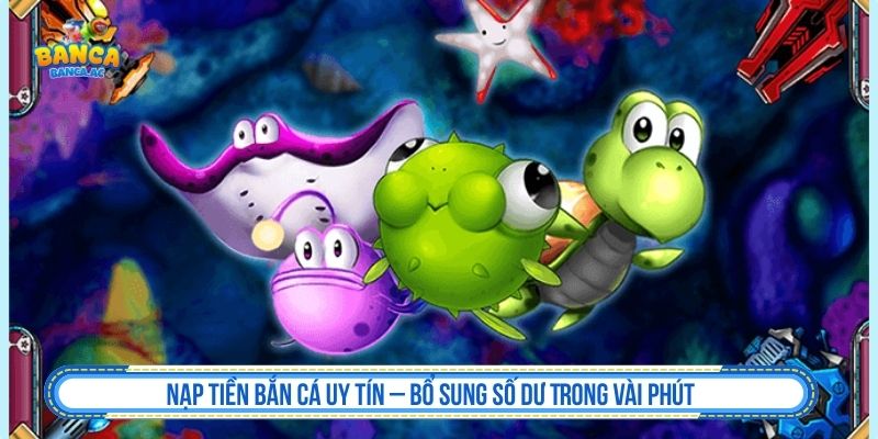 Nạp Tiền Bắn Cá Đơn Giản – Kiểm Soát Chặt Chẽ, Xử Lý Tức Khắc Nạp tiền bắn cá