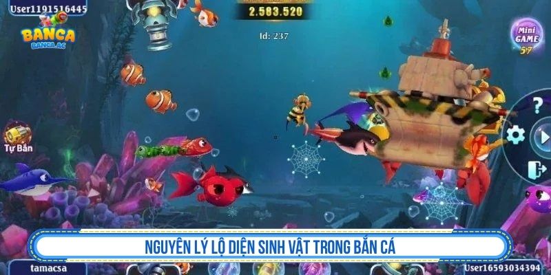 Quy Luật Game Bắn Cá – Hướng Tiếp Cận Khoa Học Cho Hội Viên Mới Và Cũ Nguyên lý lộ diện sinh vật trong bắn cá