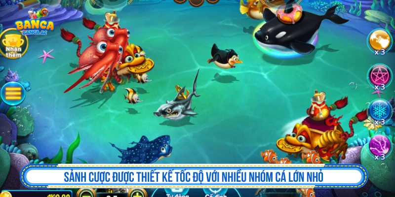 Bắn Cá B52 Tốc Độ Nhịp Bàn Nhanh Trong Từng Phát Đạn Sảnh cược được thiết kế tốc độ với nhiều nhóm cá lớn nhỏ